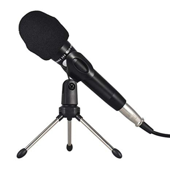 enCORE 300 Condenser Microphone